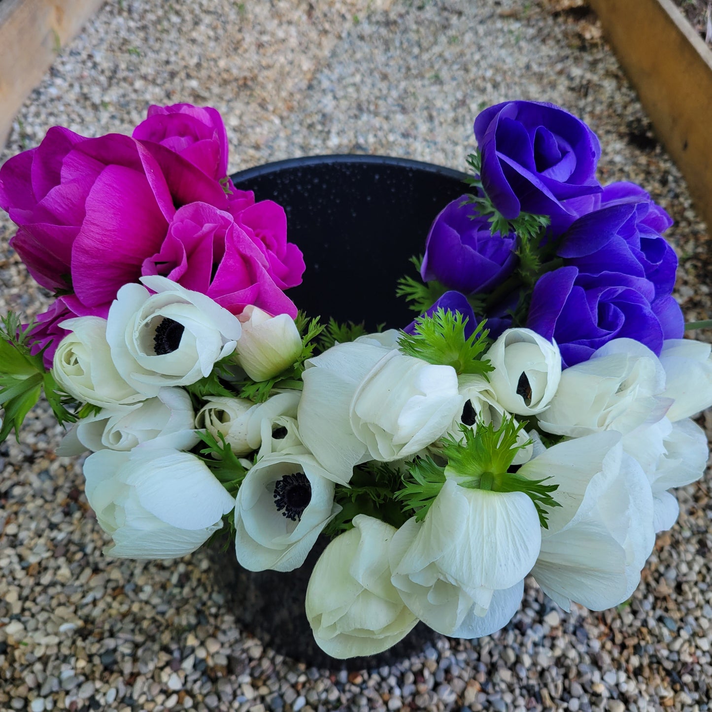 Spring Flower Subscription