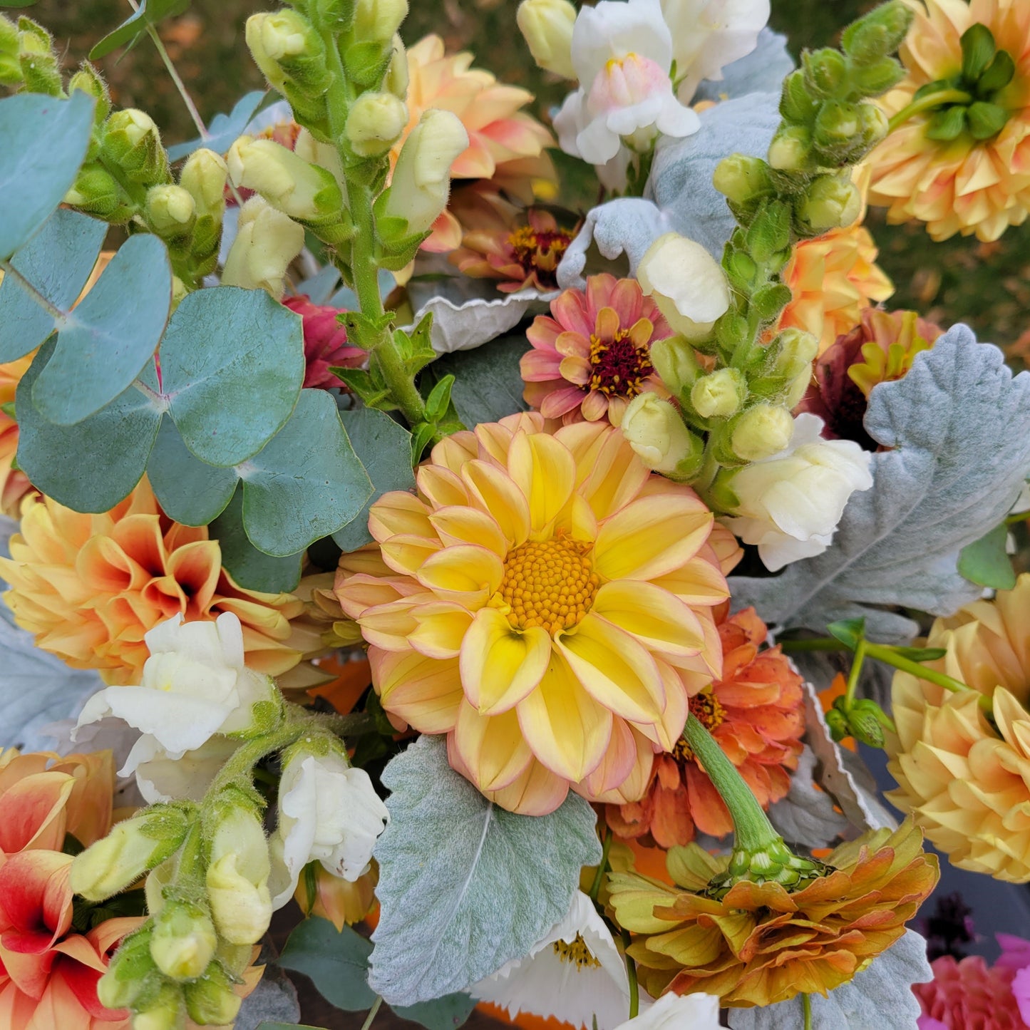 Fall Flower Subscription