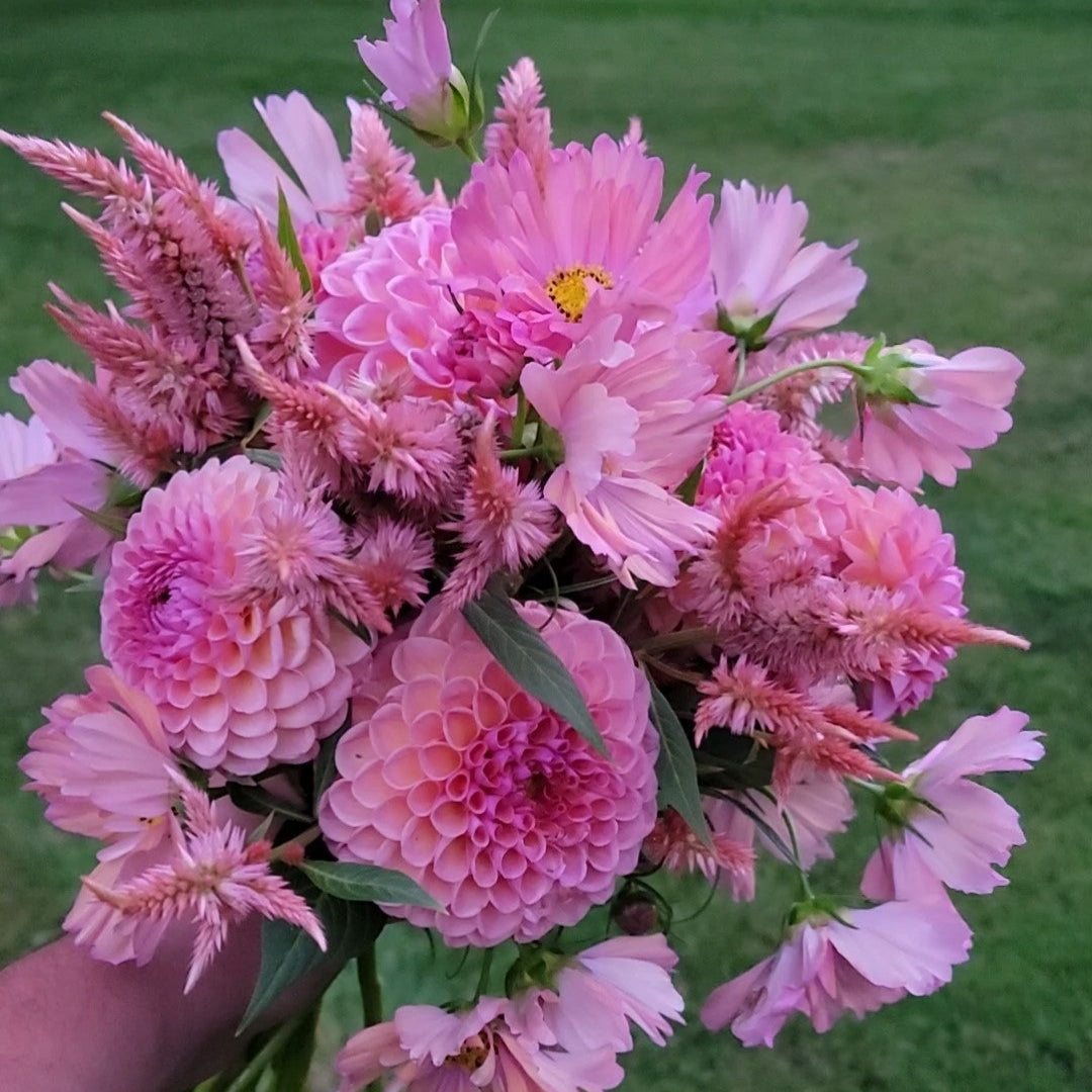 Flower Lovers Flower Subscription