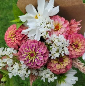 monthly flower seed subscription Farmer's Pick Flower Subscription – Mustard Seed Farms